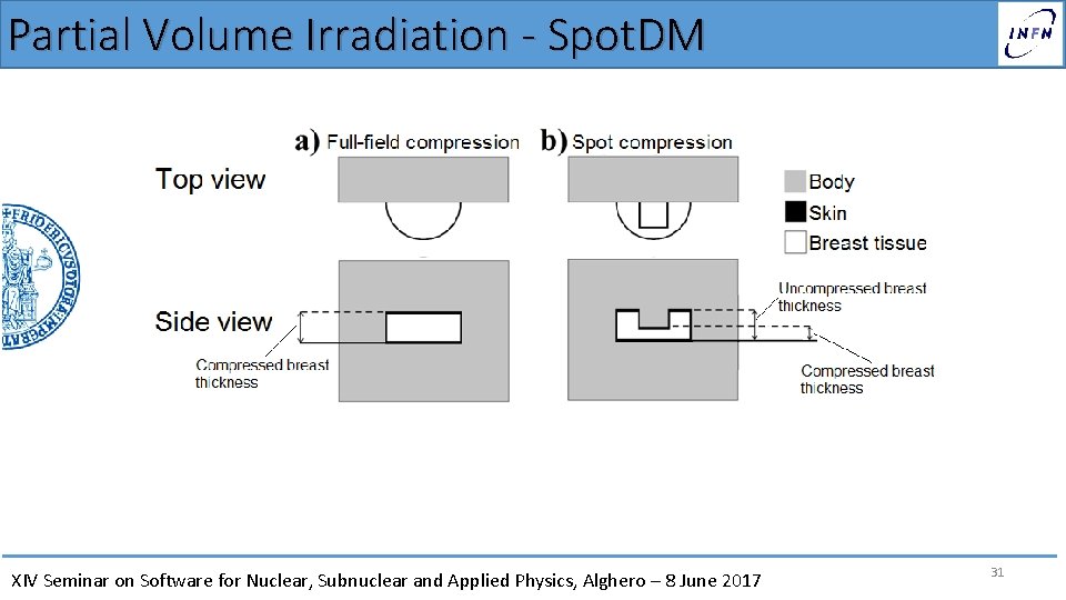 Partial Volume Irradiation - Spot. DM XIV Seminar on Software for Nuclear, Subnuclear and