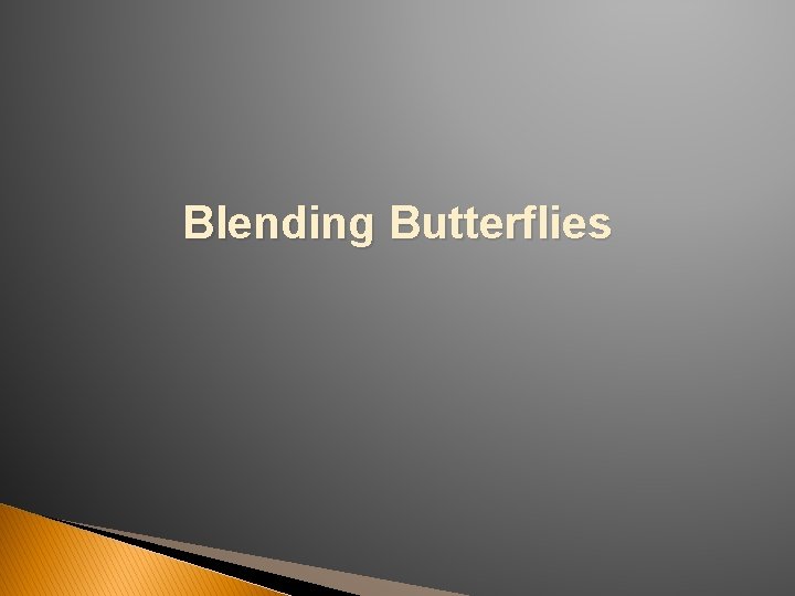 Blending Butterflies 