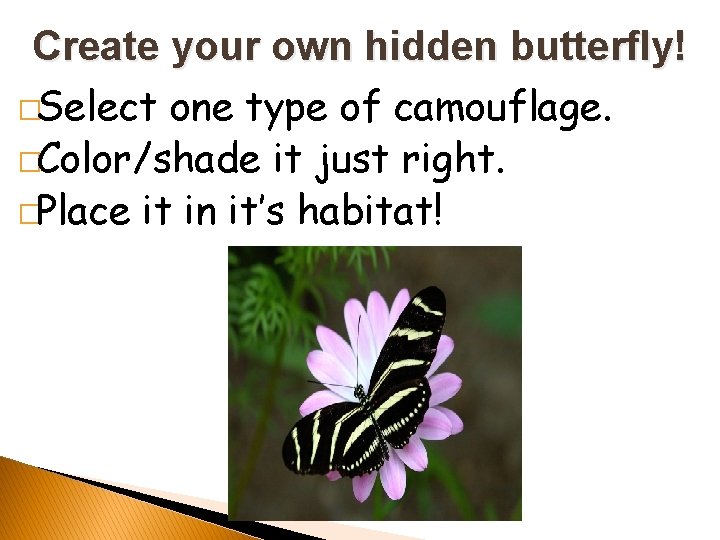 Create your own hidden butterfly! �Select one type of camouflage. �Color/shade it just right.