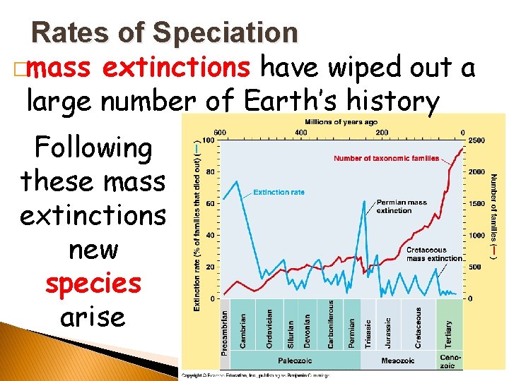 Rates of Speciation �mass extinctions have wiped out a large number of Earth’s history