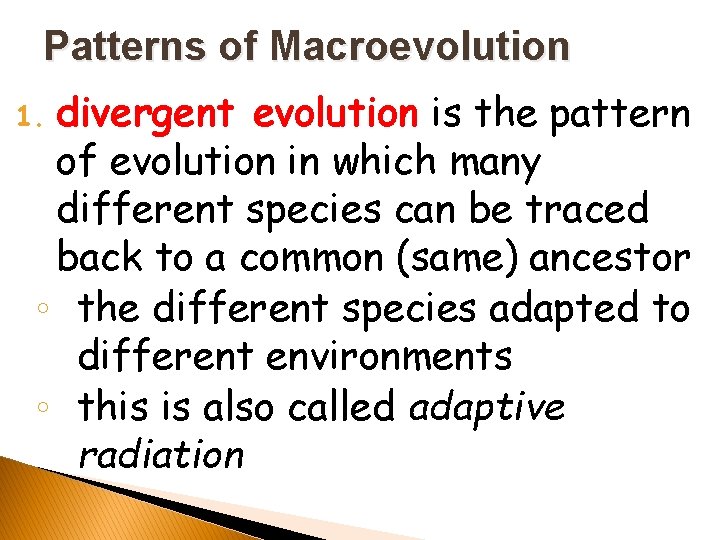 Patterns of Macroevolution divergent evolution is the pattern of evolution in which many different