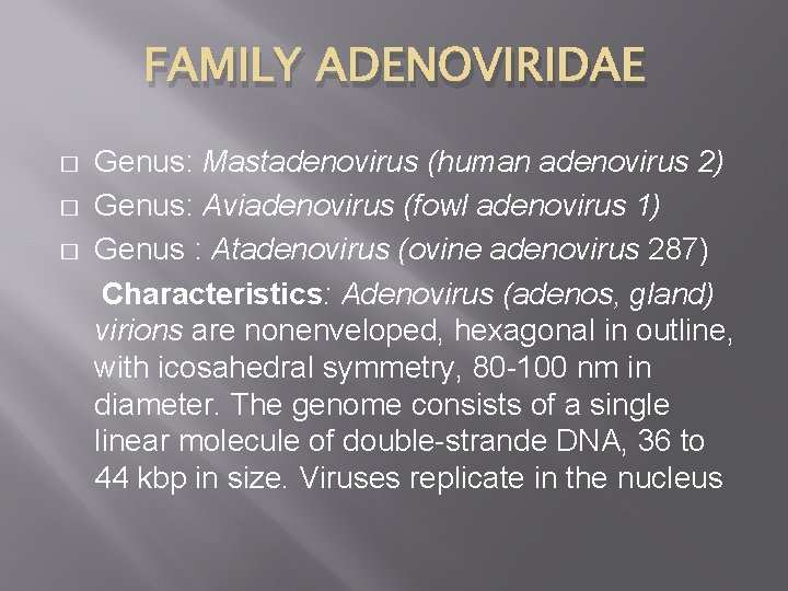 FAMILY ADENOVIRIDAE � � � Genus: Mastadenovirus (human adenovirus 2) Genus: Aviadenovirus (fowl adenovirus