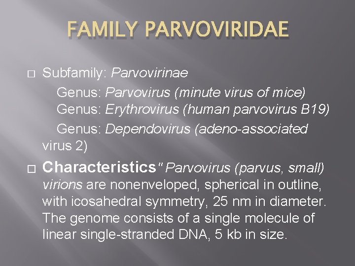FAMILY PARVOVIRIDAE � � Subfamily: Parvovirinae Genus: Parvovirus (minute virus of mice) Genus: Erythrovirus
