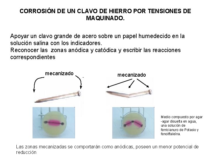 CORROSIÓN DE UN CLAVO DE HIERRO POR TENSIONES DE MAQUINADO. Apoyar un clavo grande