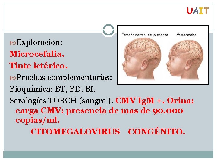 UAIT Exploración: Microcefalia. Tinte ictérico. Pruebas complementarias: Bioquímica: BT, BD, BI. Serologías TORCH (sangre