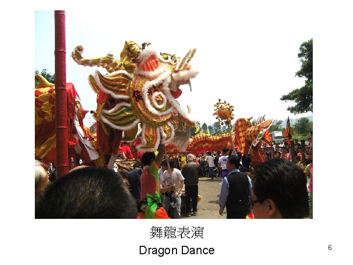 舞龍表演 Dragon Dance 6 