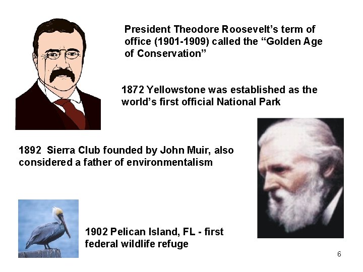 President Theodore Roosevelt’s term of office (1901 -1909) called the “Golden Age of Conservation”