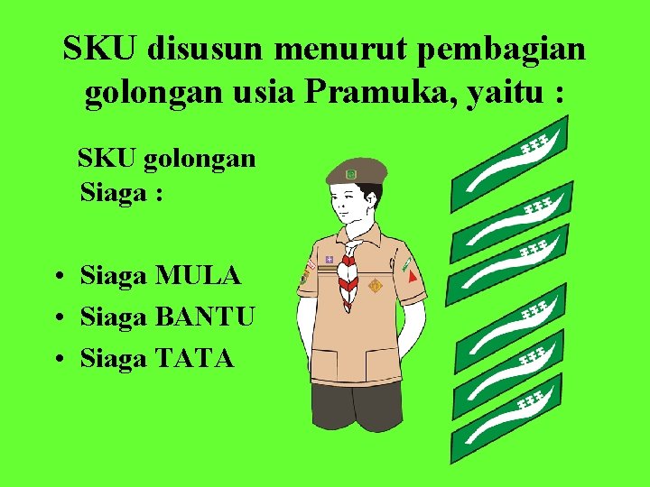 SKU disusun menurut pembagian golongan usia Pramuka, yaitu : SKU golongan Siaga : •