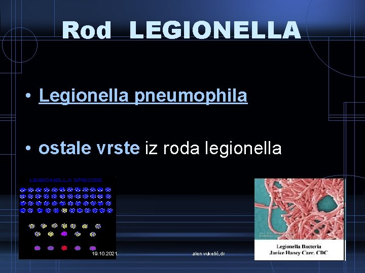 Rod LEGIONELLA • Legionella pneumophila • ostale vrste iz roda legionella 19. 10. 2021.