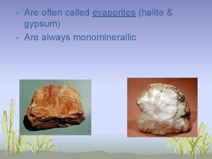  • • Are often called evaporites (halite & gypsum) Are always monominerallic 