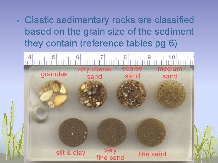  • Clastic sedimentary rocks are classified based on the grain size of the