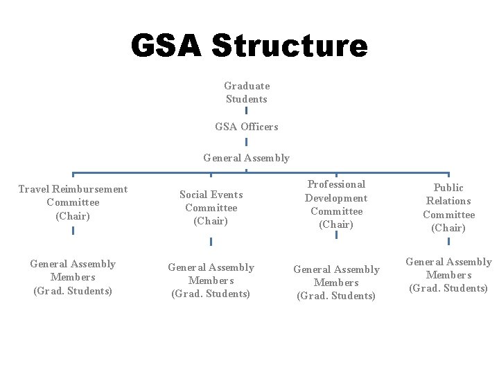 GSA Structure Graduate Students GSA Officers General Assembly Travel Reimbursement Committee (Chair) Social Events
