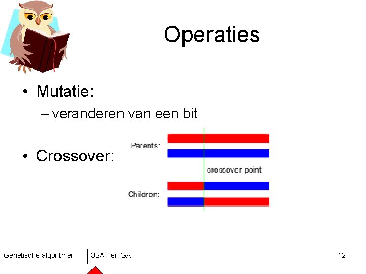 Operaties • Mutatie: – veranderen van een bit • Crossover: Genetische algoritmen 3 SAT