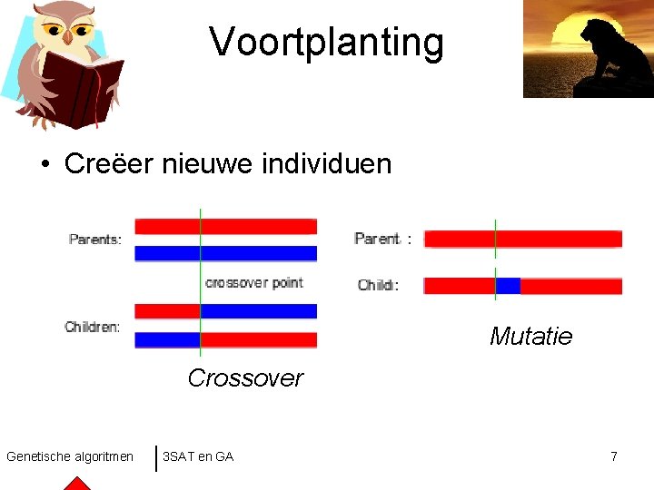 Voortplanting • Creëer nieuwe individuen Mutatie Crossover Genetische algoritmen 3 SAT en GA 7