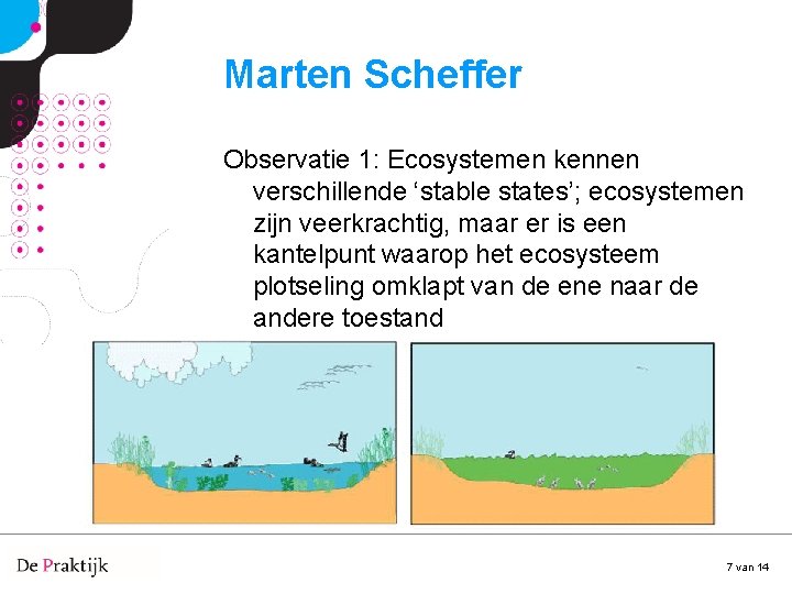 Marten Scheffer Observatie 1: Ecosystemen kennen verschillende ‘stable states’; ecosystemen zijn veerkrachtig, maar er