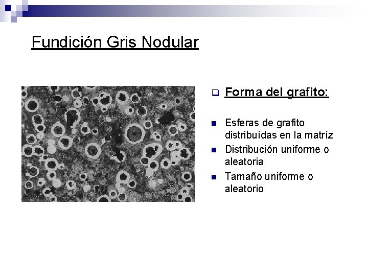 Fundición Gris Nodular q Forma del grafito: n Esferas de grafito distribuídas en la