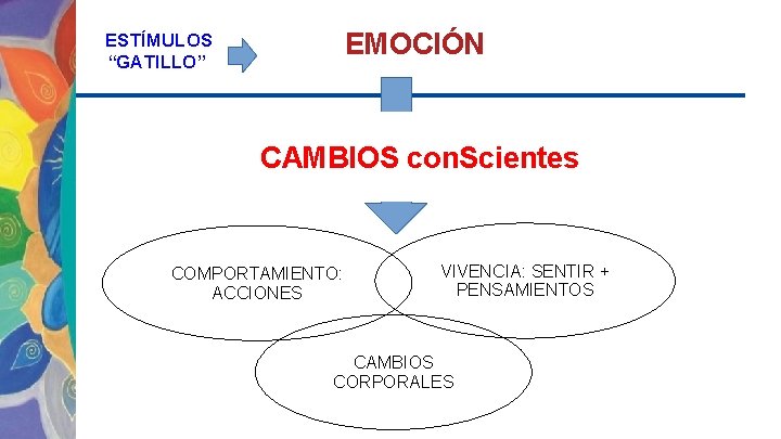 EMOCIÓN ESTÍMULOS “GATILLO” CAMBIOS con. Scientes COMPORTAMIENTO: ACCIONES VIVENCIA: SENTIR + PENSAMIENTOS CAMBIOS CORPORALES