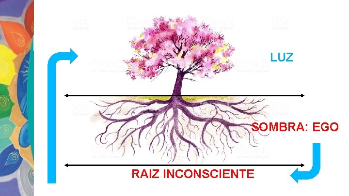 LUZ SOMBRA: EGO RAIZ INCONSCIENTE 