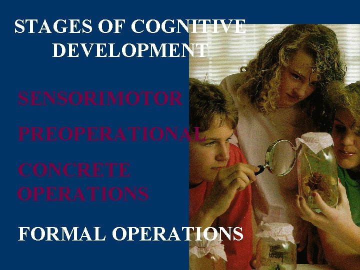 STAGES OF COGNITIVE DEVELOPMENT SENSORIMOTOR PREOPERATIONAL CONCRETE OPERATIONS FORMAL OPERATIONS 