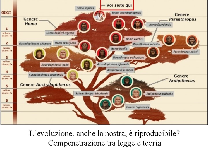 L’evoluzione, anche la nostra, è riproducibile? Compenetrazione tra legge e teoria 