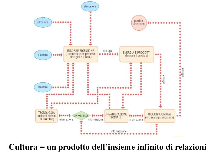 Cultura = un prodotto dell’insieme infinito di relazioni 