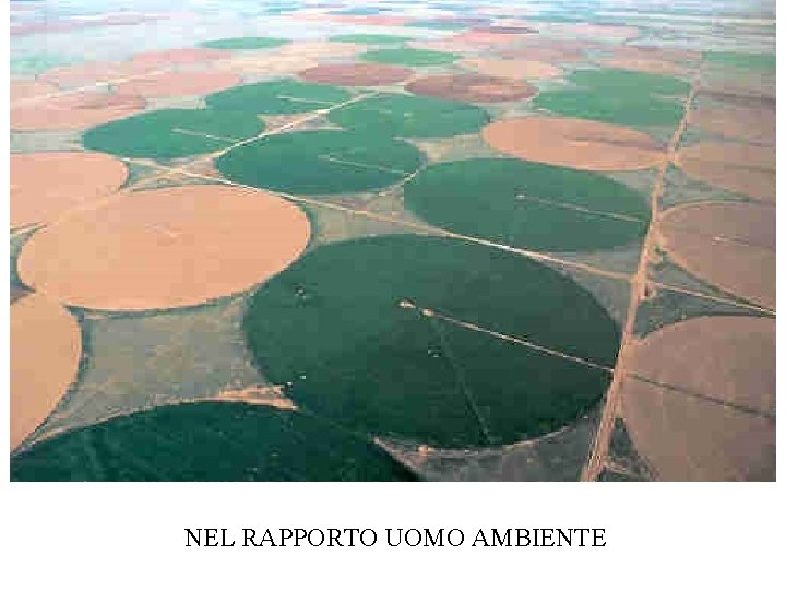 NEL RAPPORTO UOMO AMBIENTE 