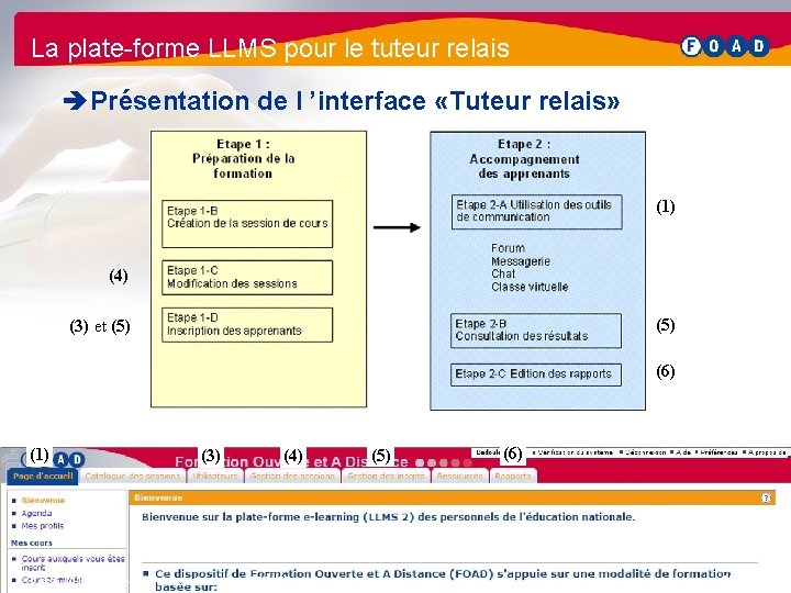 La plate-forme LLMS pour le tuteur relais è Présentation de l ’interface «Tuteur relais»