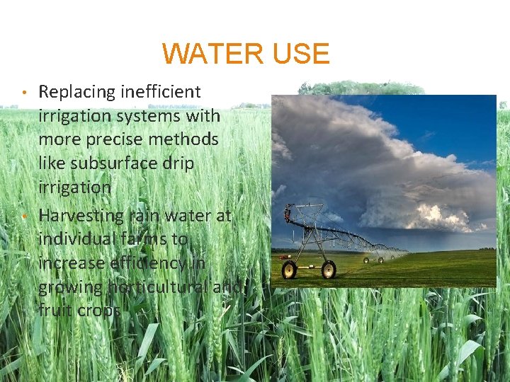 WATER USE • • Replacing inefficient irrigation systems with more precise methods like subsurface