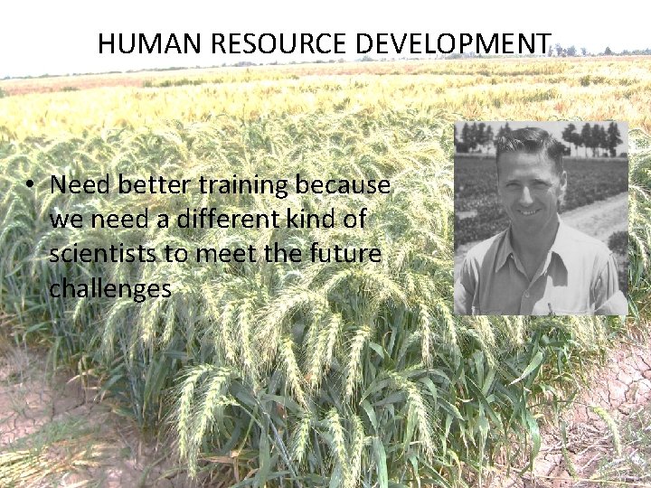 HUMAN RESOURCE DEVELOPMENT • Need better training because we need a different kind of