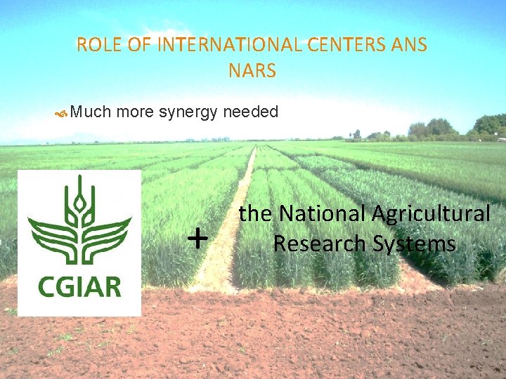 ROLE OF INTERNATIONAL CENTERS ANS NARS Much more synergy needed + the National Agricultural