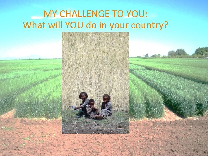 MY CHALLENGE TO YOU: What will YOU do in your country? 