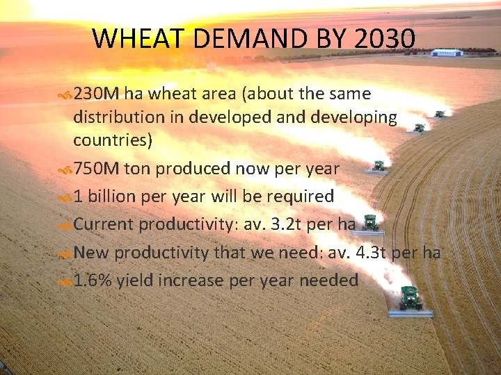 WHEAT DEMAND BY 2030 230 M ha wheat area (about the same distribution in