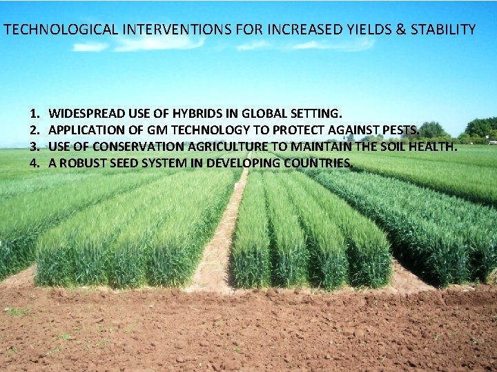 TECHNOLOGICAL INTERVENTIONS FOR INCREASED YIELDS & STABILITY 1. 2. 3. 4. WIDESPREAD USE OF