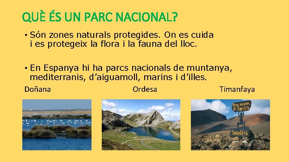 QUÈ ÉS UN PARC NACIONAL? • Són zones naturals protegides. On es cuida i