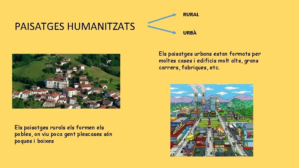 RURAL PAISATGES HUMANITZATS URBÀ Els paisatges urbans estan formats per moltes cases i edificis