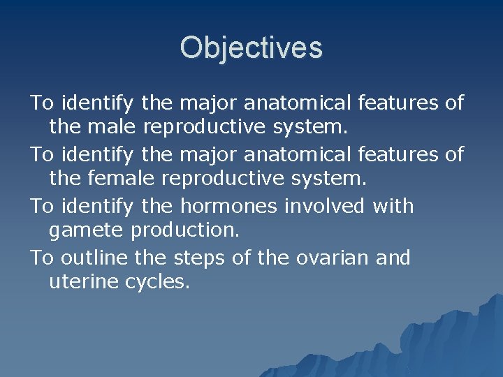 Objectives To identify the major anatomical features of the male reproductive system. To identify