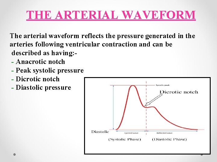 THE ARTERIAL WAVEFORM The arterial waveform reflects the pressure generated in the arteries following