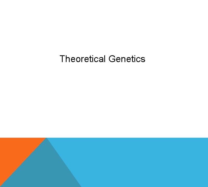 Theoretical Genetics 