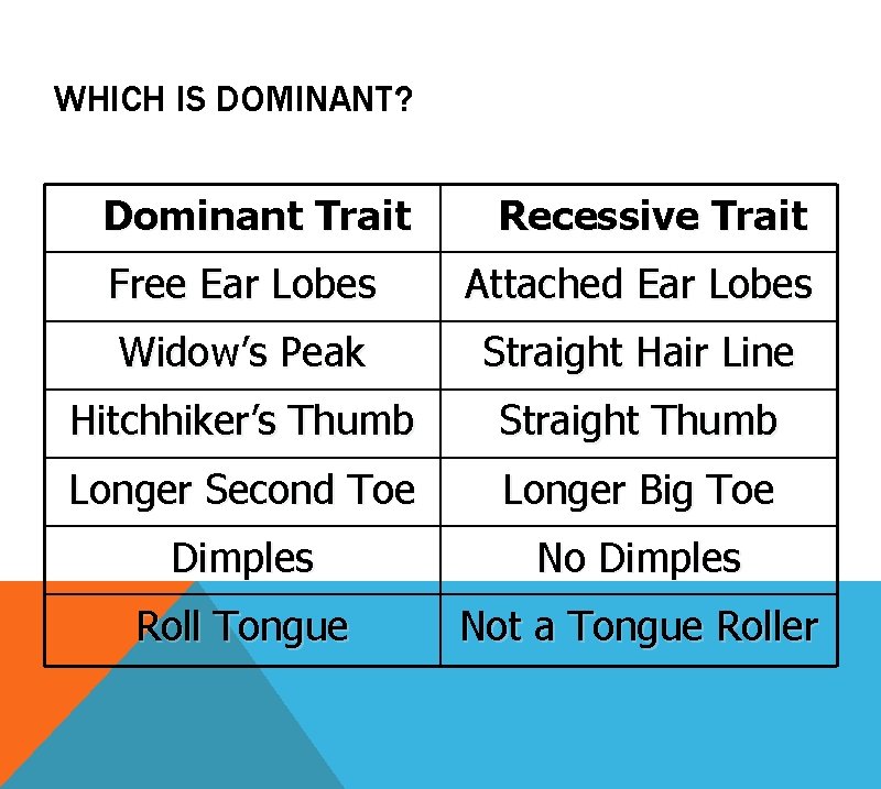 WHICH IS DOMINANT? Dominant Trait Recessive Trait Free Ear Lobes Attached Ear Lobes Widow’s