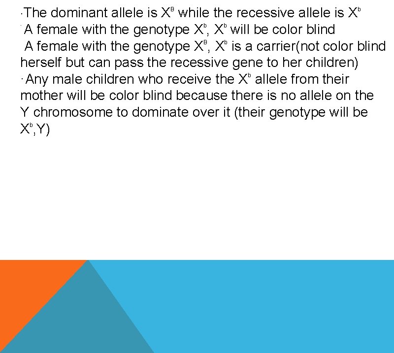 ·The dominant allele is XB while the recessive allele is Xb · A female