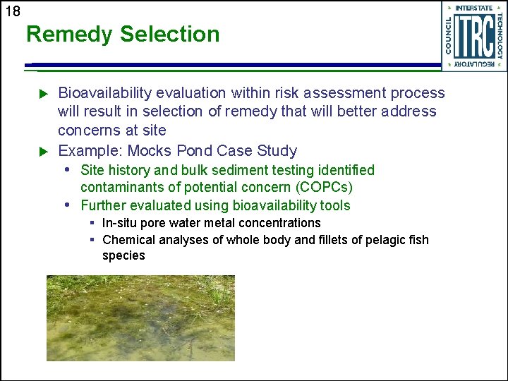 18 Remedy Selection u u Bioavailability evaluation within risk assessment process will result in