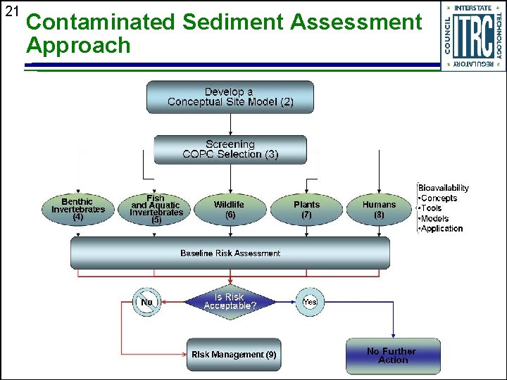 21 Contaminated Sediment Assessment Approach 