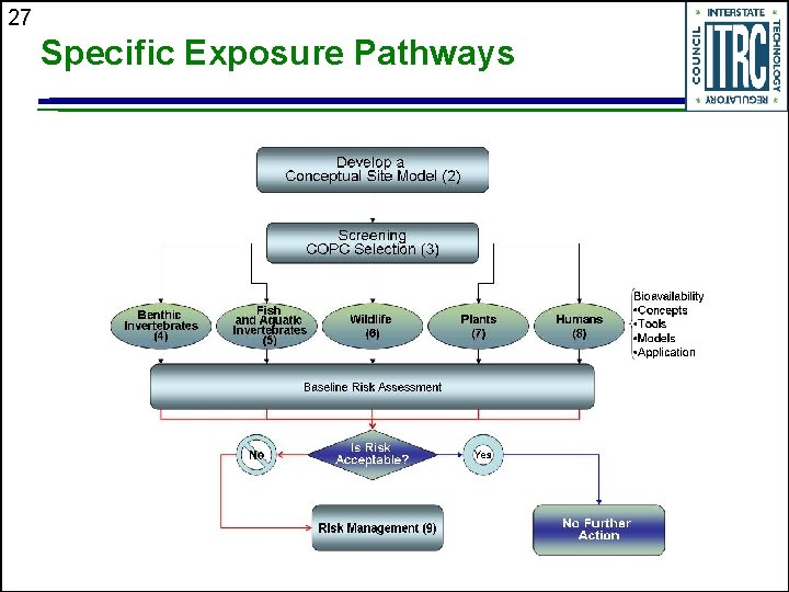 27 Specific Exposure Pathways 