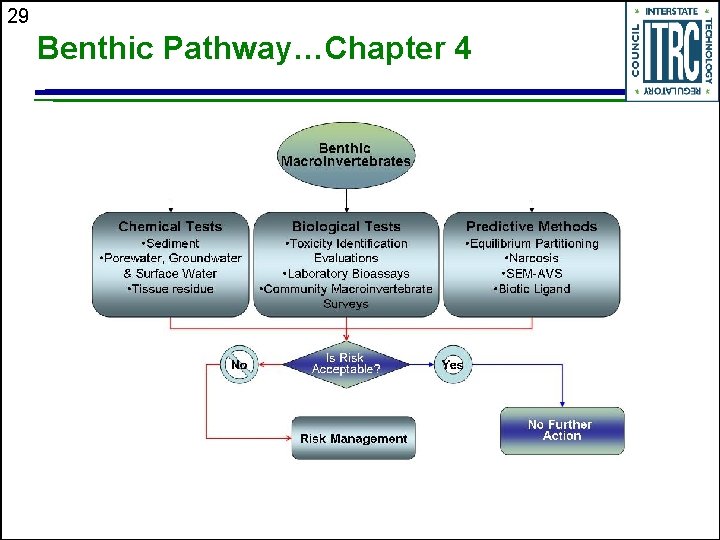 29 Benthic Pathway…Chapter 4 