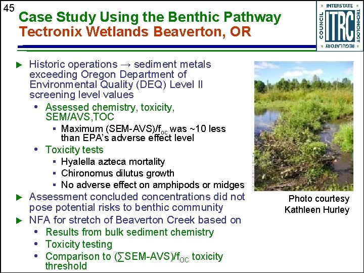 45 Case Study Using the Benthic Pathway Tectronix Wetlands Beaverton, OR u Historic operations