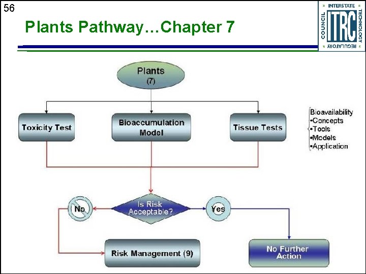 56 Plants Pathway…Chapter 7 