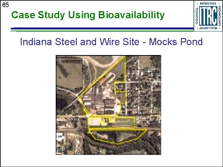65 Case Study Using Bioavailability Indiana Steel and Wire Site - Mocks Pond 