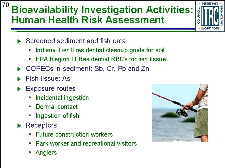 70 Bioavailability Investigation Activities: Human Health Risk Assessment u Screened sediment and fish data