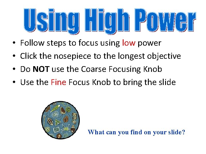  • • Follow steps to focus using low power Click the nosepiece to