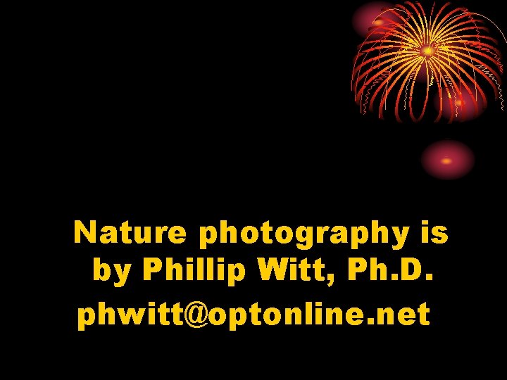 Nature photography is by Phillip Witt, Ph. D. phwitt@optonline. net 